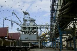 Image du Maroc Professionnelle de  Les Doc Silos au port de Casablanca, des installations modernes aspirant le blé directement dans les cales des navires couvrant 70% des besoins en grains du Maroc. 31 Décembre 2003. (Photo / Abdeljalil Bounhar)

 